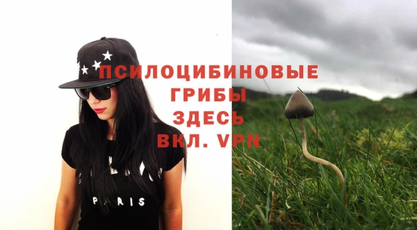 МДПВ Аркадак