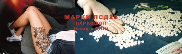 индика Армянск