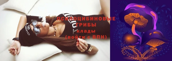 МДПВ Аркадак