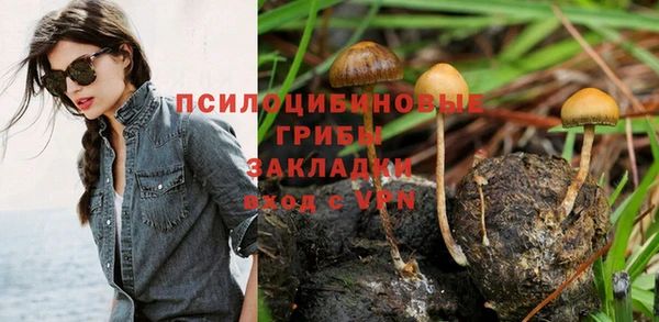 винт Арсеньев