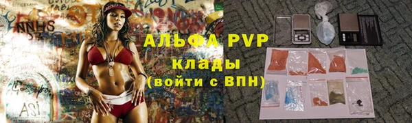 винт Арсеньев