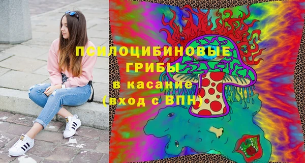 винт Арсеньев