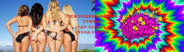 МДПВ Аркадак