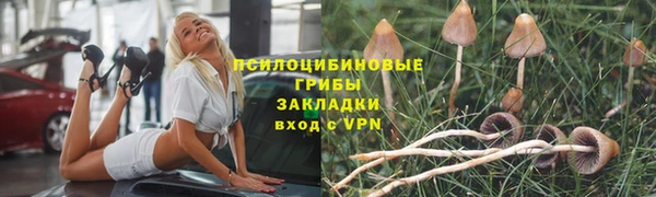 винт Арсеньев