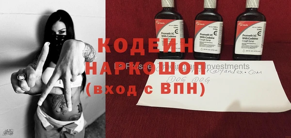 индика Армянск